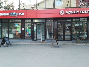 Пермь, Улица Маршала Рыбалко, 81: фото