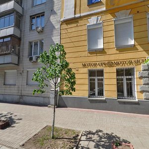 Shovkovychna Street, 30А, Kyiv: photo