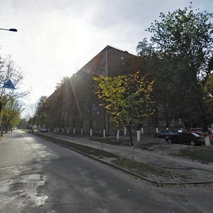 Palva Virskoho Boulevard, 2/32, Kyiv: photo