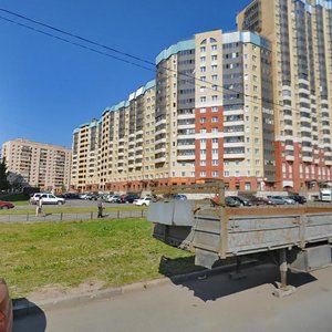 Latyshskikh Strelkov Street, 1, Saint Petersburg: photo