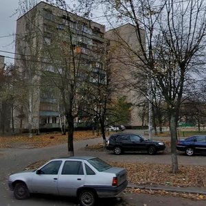 Lisovyi Avenue, 24, Kyiv: photo