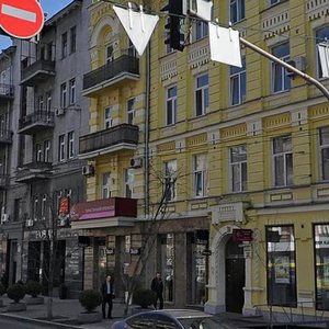 Saksahanskoho Street, 29, Kyiv: photo