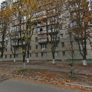 Oleksy Tykhoho Street, 55/13, Kyiv: photo