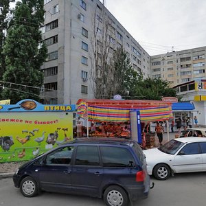 Generala Ostryakova Avenue, 133, : foto
