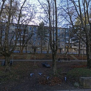 Dzerzhinskogo Street, 230, : foto