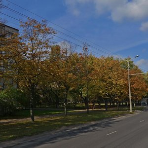 Siadyh Street, 66, Minsk: photo