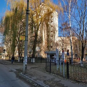 Platona Maiborody Street, 5/9, Kyiv: photo