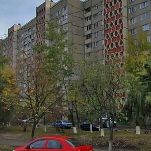 Heroiv Dnipra Street, No:24, Kiev: Fotoğraflar