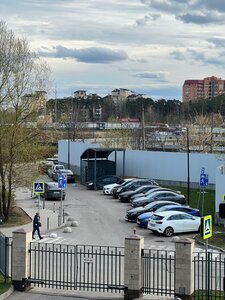 Москва и Московская область, Каштановая улица, 6: фото