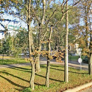 Grybajedava Street, 2А, Minsk: photo