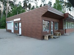 Пермь, Улица Маршала Рыбалко, 88В: фото