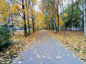 Naberezhnaya ulitsa, No:47, Cherepovets: Fotoğraflar