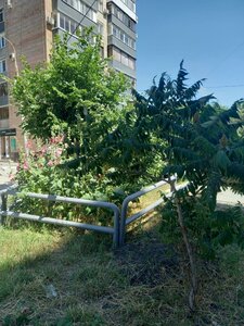 Agibalova Street, 68, Samara: photo