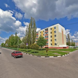 Lenina Street, 15, Stroitel: photo