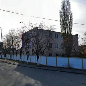 Mezhihirska Street, 87, Kyiv: photo