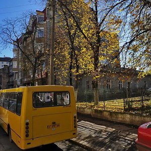 Ивано‑Франковск, Улица Сечевых Стрельцов, 70: фото