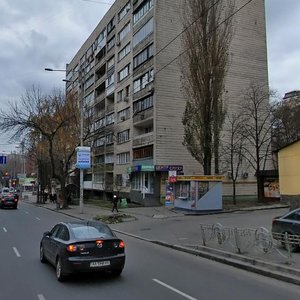 Lva Tolstoho Street, 22, Kyiv: photo