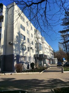 Menzhinskogo Street, 31, Inkerman: photo