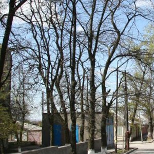 23rd Liniya Street, 34/4, Rostov‑na‑Donu: photo