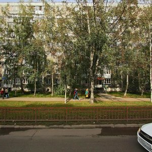 Нижний Новгород, Улица Культуры, 3: фото