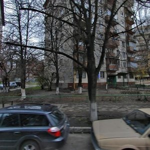 Bohdana Havrylyshyna Street, 5, Kyiv: photo