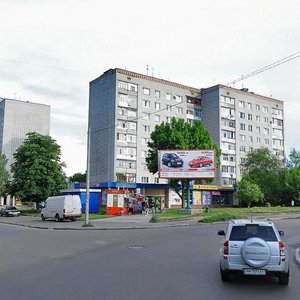 Haharina Street, 5, Zhytomyr: photo