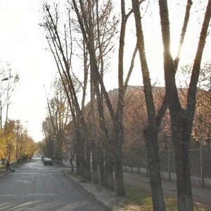 Ulitsa Zhukova, 7 ، إيركوتسك: صورة
