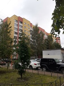 Marshala Zhukova Avenue, 45, Saint Petersburg: photo