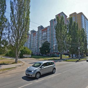 Воронеж, Улица Шишкова, 70А: фото
