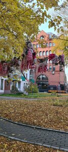 Sovetskaya Street, 23, Novosibirsk: photo