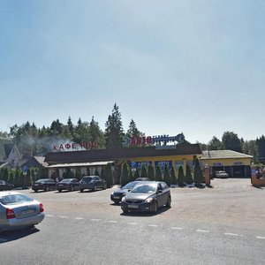 Moskovskaya Street, 60с1, Istra: photo