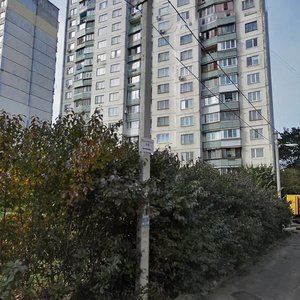 Orlovska Street, 15, Kyiv: photo