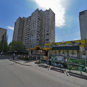 Molochna Street, 1к1, Kharkiv: photo