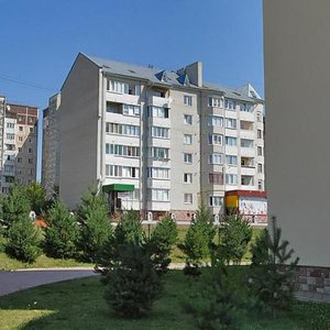 Bulvar Dmytra Vyshnevetskoho, 1, Ternopil: photo