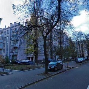 Shovkovychna Street, 7А, Kyiv: photo