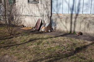 Kosmonavtov Embankment, 31, Rybinsk: photo
