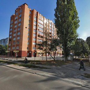 Vulytsia Viacheslava Chornovola, 10, : foto