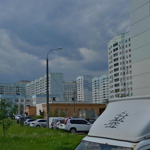 Marshala Savitskogo Street, 22к2с2, Moscow: photo