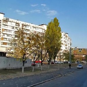 Obolonskyi Avenue, 31, Kyiv: photo