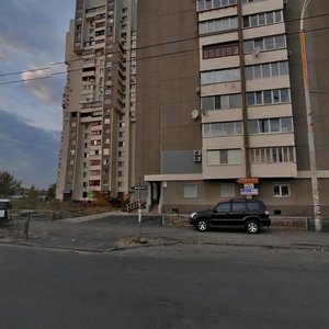Bohatyrska Street, 6/1, Kyiv: photo