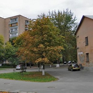 Martyrosiana Street, 4, Kyiv: photo