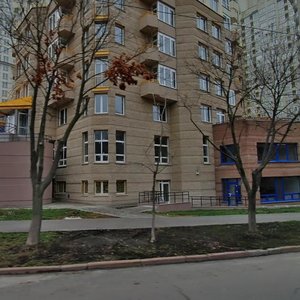 Kudriashova Street, 20, Kyiv: photo