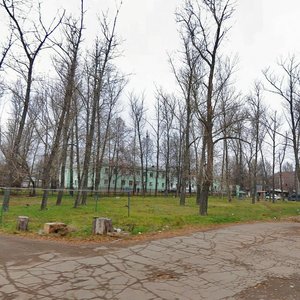 Glinki Street, 7, Tula: photo