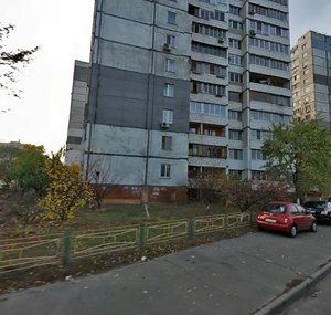 Pryrichna Street, 31, Kyiv: photo