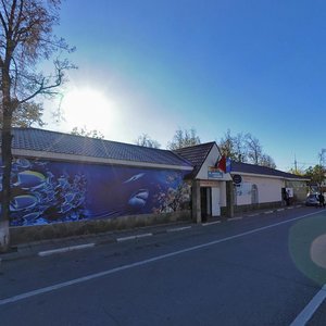 Moskovskaya ulitsa, 38 ، : صورة