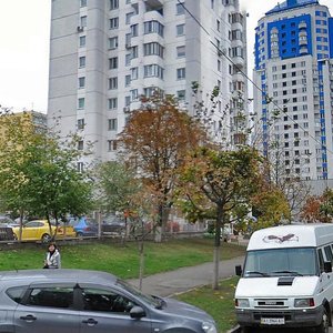 Petra Chaadaieva Street, 2А, Kyiv: photo