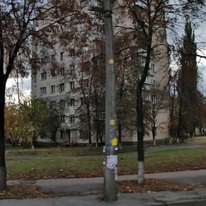 Yaroslava Ivashkevycha Street, 10, : foto