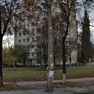 Yaroslava Ivashkevycha Street, No:10, Kiev: Fotoğraflar