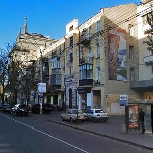 Velyka Vasylkivska Street, 81, Kyiv: photo