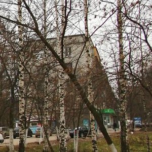 Gagarina Avenue, 180, : foto